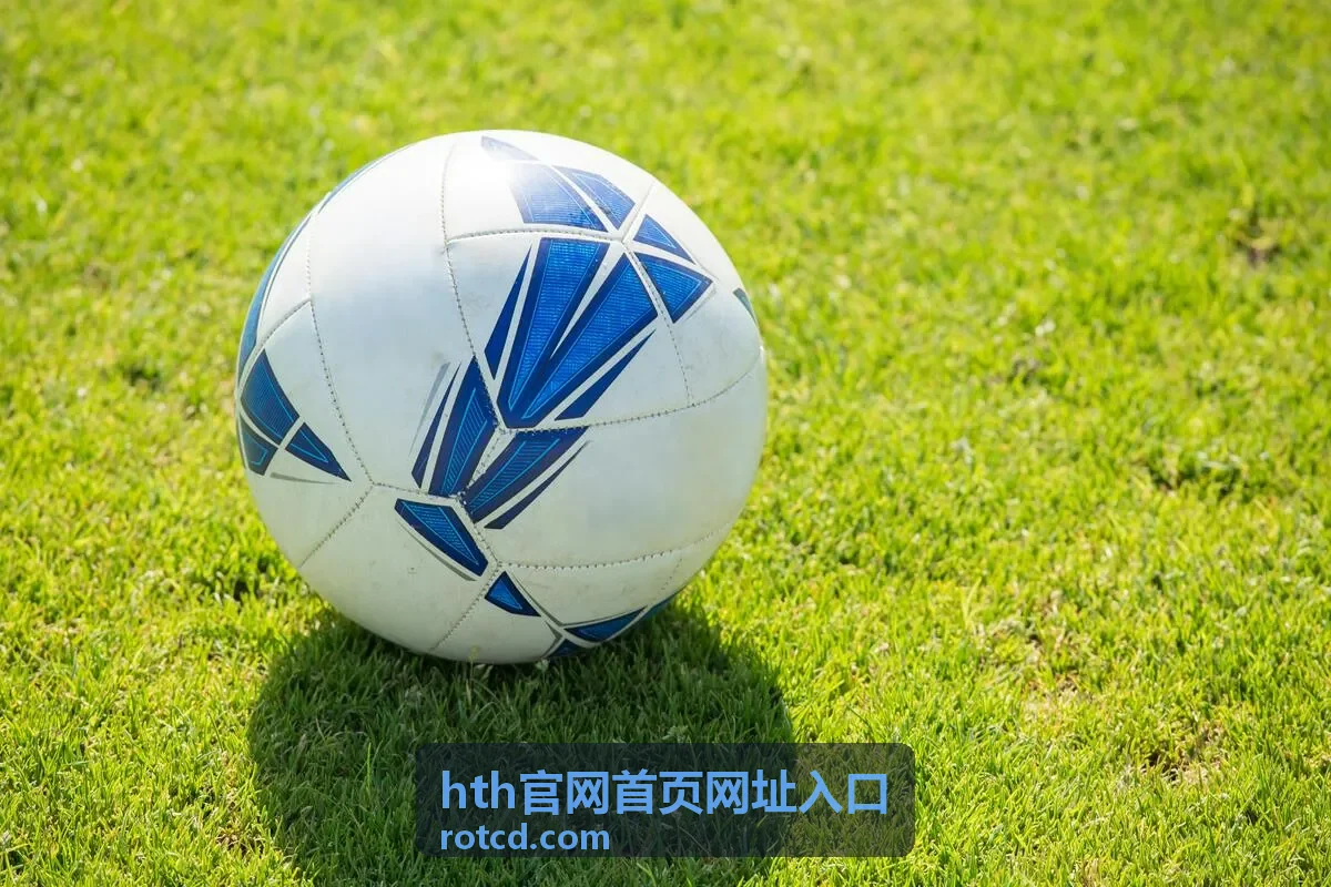 hth官网首页网址入口 片库频道海报封面